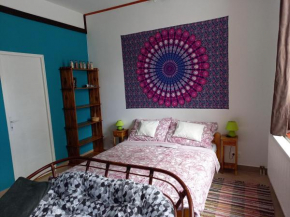 Esőerdő Apartman